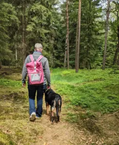 Ferien mit Hund in Worpswede - Wälder erkunden