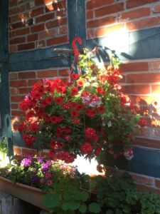 ferienhof ohlenbusch worpswede grundstueck blumen 019