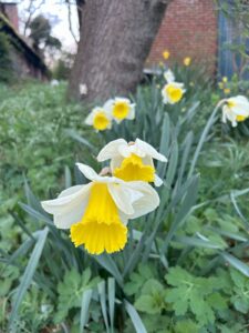 ferienhof ohlenbusch worpswede grundstueck blumen 027