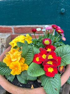 ferienhof ohlenbusch worpswede grundstueck blumen 028