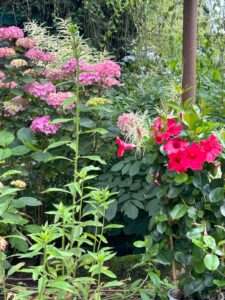 ferienhof ohlenbusch worpswede grundstueck blumen 039