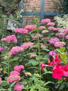 ferienhof ohlenbusch worpswede grundstueck blumen 040