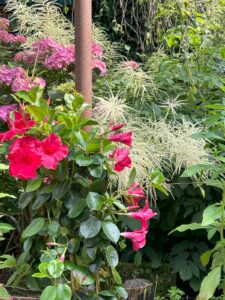 ferienhof ohlenbusch worpswede grundstueck blumen 041