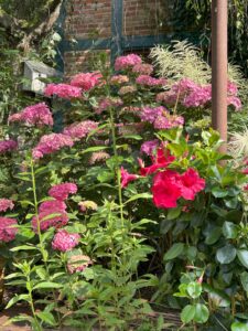 ferienhof ohlenbusch worpswede grundstueck blumen 042