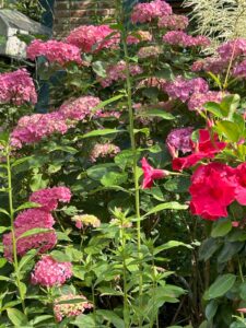 ferienhof ohlenbusch worpswede grundstueck blumen 043