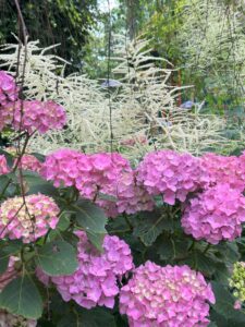 ferienhof ohlenbusch worpswede grundstueck blumen 045