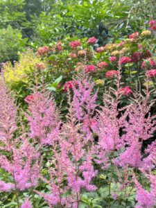 ferienhof ohlenbusch worpswede grundstueck blumen 046