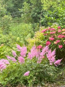 ferienhof ohlenbusch worpswede grundstueck blumen 053