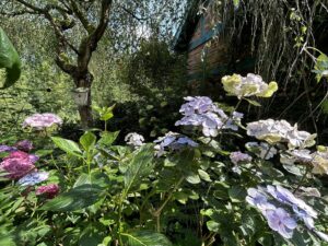 ferienhof ohlenbusch worpswede grundstueck blumen 056