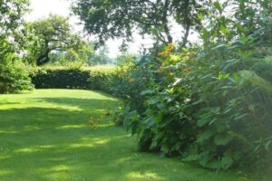 ferienhof ohlenbusch worpswede grundstueck garten 002