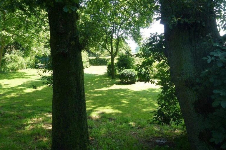 Blick in den grünen Garten des Ferienhofs Ohlenbusch mit großen Bäumen, Rasenflächen und sonnigen Lichtungen