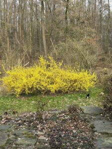 ferienhof ohlenbusch worpswede grundstueck garten 010