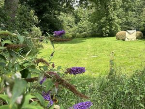ferienhof ohlenbusch worpswede grundstueck garten 013