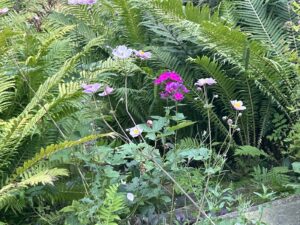 ferienhof ohlenbusch worpswede grundstueck garten 017