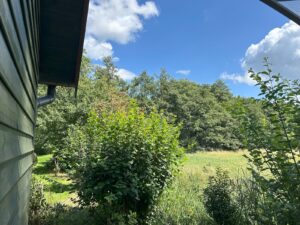 ferienhof ohlenbusch worpswede grundstueck garten 019