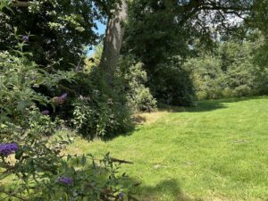ferienhof ohlenbusch worpswede grundstueck garten 027