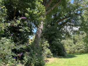 ferienhof ohlenbusch worpswede grundstueck garten 028
