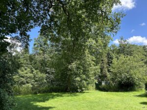ferienhof ohlenbusch worpswede grundstueck garten 029