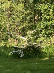 ferienhof ohlenbusch worpswede grundstueck garten 031
