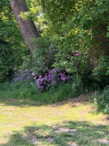 ferienhof ohlenbusch worpswede grundstueck garten 032