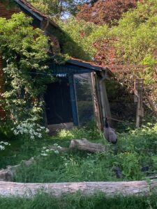 ferienhof ohlenbusch worpswede grundstueck haeuser 011