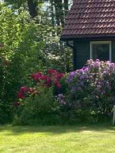 ferienhof ohlenbusch worpswede grundstueck haeuser 013