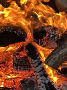 ferienhof ohlenbusch worpswede grundstueck lagerfeuer 025