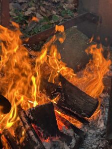 ferienhof ohlenbusch worpswede grundstueck lagerfeuer 027
