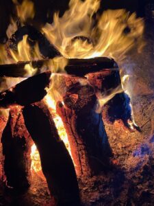 ferienhof ohlenbusch worpswede grundstueck lagerfeuer 029