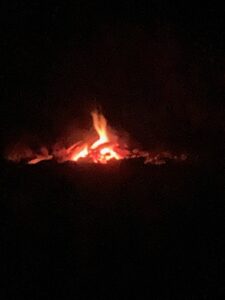 ferienhof ohlenbusch worpswede grundstueck lagerfeuer 031