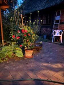 ferienhof ohlenbusch worpswede grundstueck nachts 006