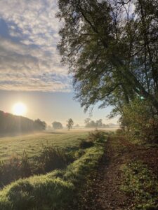 ferienhof ohlenbusch worpswede grundstueck sonnenaufgaenge 001