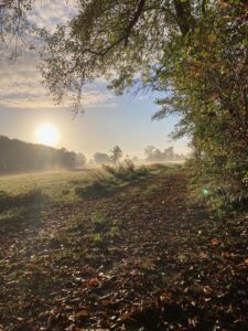 ferienhof ohlenbusch worpswede grundstueck sonnenaufgaenge 002