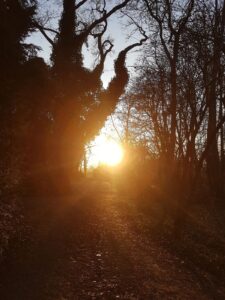 ferienhof ohlenbusch worpswede grundstueck sonnenuntergaenge 001