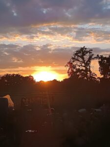 ferienhof ohlenbusch worpswede grundstueck sonnenuntergaenge 002