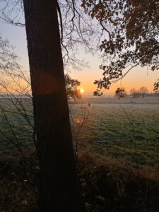 ferienhof ohlenbusch worpswede grundstueck sonnenuntergaenge 003