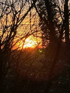 ferienhof ohlenbusch worpswede grundstueck sonnenuntergaenge 004