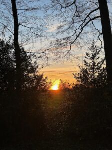 ferienhof ohlenbusch worpswede grundstueck sonnenuntergaenge 005