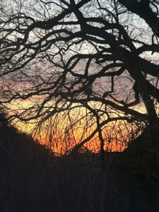 ferienhof ohlenbusch worpswede grundstueck sonnenuntergaenge 006