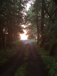 ferienhof ohlenbusch worpswede grundstueck sonnenuntergaenge 007