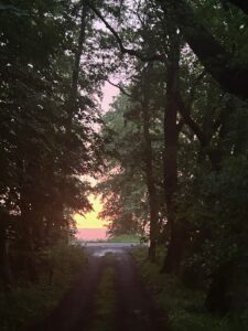 ferienhof ohlenbusch worpswede grundstueck sonnenuntergaenge 008