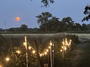 ferienhof ohlenbusch worpswede grundstueck sonnenuntergaenge 010