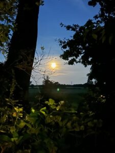 ferienhof ohlenbusch worpswede grundstueck sonnenuntergaenge 011