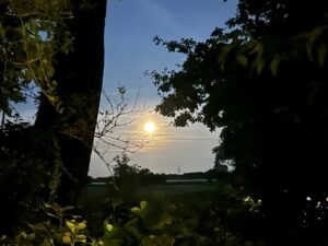 ferienhof ohlenbusch worpswede grundstueck sonnenuntergaenge 012