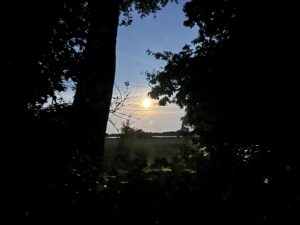 ferienhof ohlenbusch worpswede grundstueck sonnenuntergaenge 013