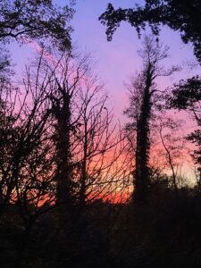 ferienhof ohlenbusch worpswede grundstueck sonnenuntergaenge 014