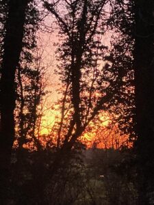 ferienhof ohlenbusch worpswede grundstueck sonnenuntergaenge 015