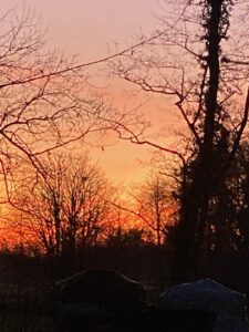 ferienhof ohlenbusch worpswede grundstueck sonnenuntergaenge 016