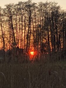 ferienhof ohlenbusch worpswede grundstueck sonnenuntergaenge 018