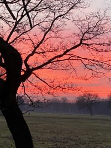 ferienhof ohlenbusch worpswede grundstueck sonnenuntergaenge 020